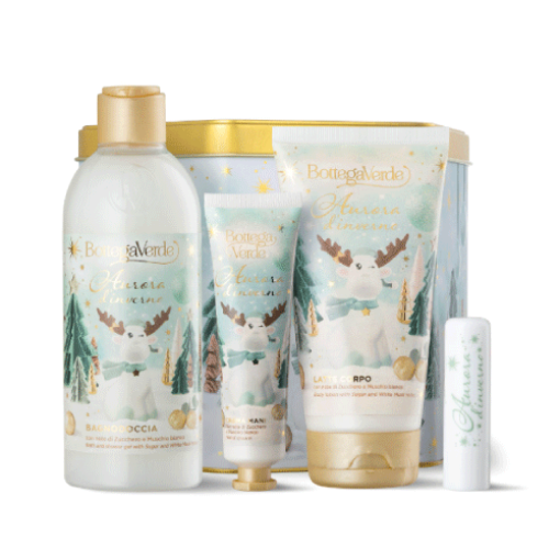 BV AURORA D`INVERNO BOX METAL KIT NATAL
